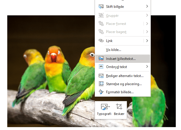 Indsæt billedtekst Eksempel på indsæt billedtekst