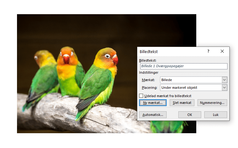 billedtekst Eksempel på billedtekst