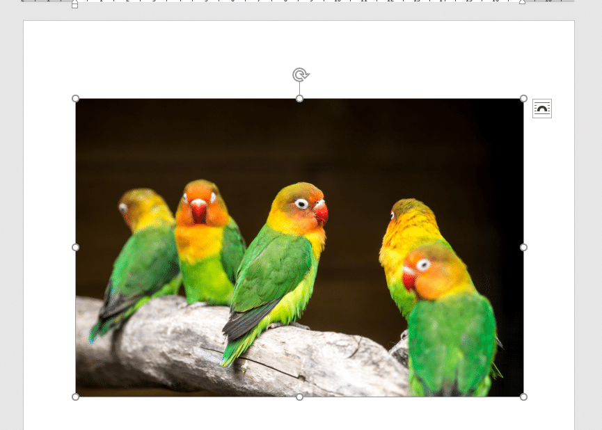 Billed-eksempel Billedeksempel i Word