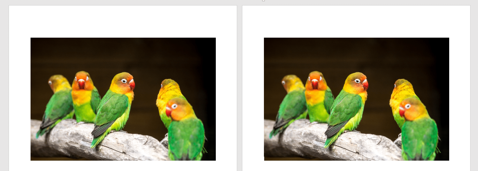 copy paste Billedeksempel i Word med copy paste