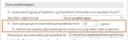 Auto gem Gem projektmapper automatisk