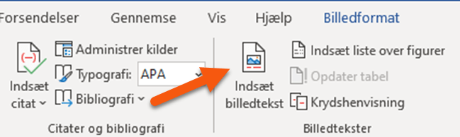 Tryk på Indsæt billedtekst, efter du har trykket på Referencer