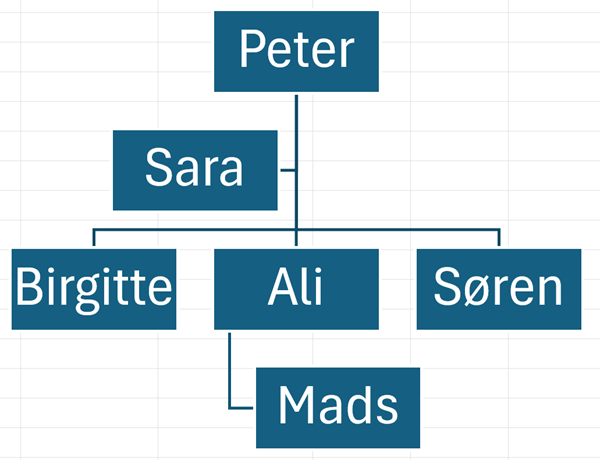 organisationsdiagram eksempel